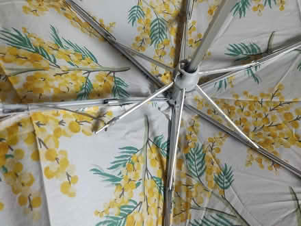 Photo of free Cath Kidston umbrella (W5) #2