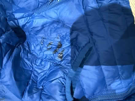Photo of free Blue jacket size XL (Billericay CM11) #2