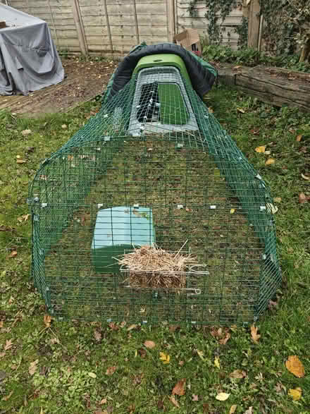 Photo of free Guinea pig run, shelter and cover (Cheadle Hulme SK8) #1