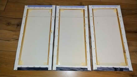 Photo of free Canvas (Southampton SO16) #4