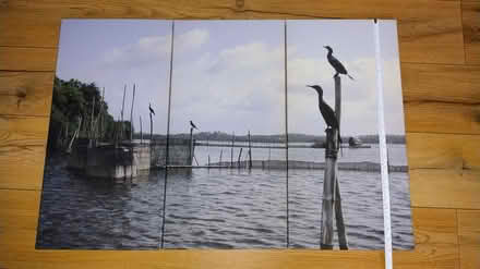 Photo of free Canvas (Southampton SO16) #3