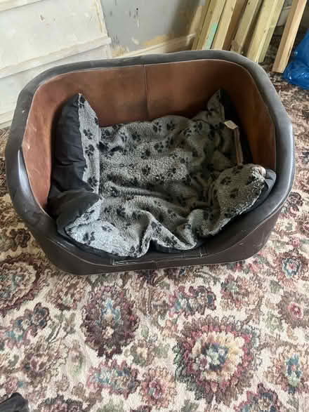 Photo of free Dog Bed (Penrith CA11) #1