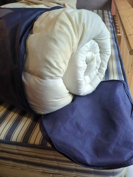 Photo of free Solid pine single bed & mattress (Burnham SL1) #4