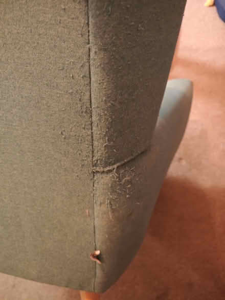 Photo of free Wing back chair (topsham) #4