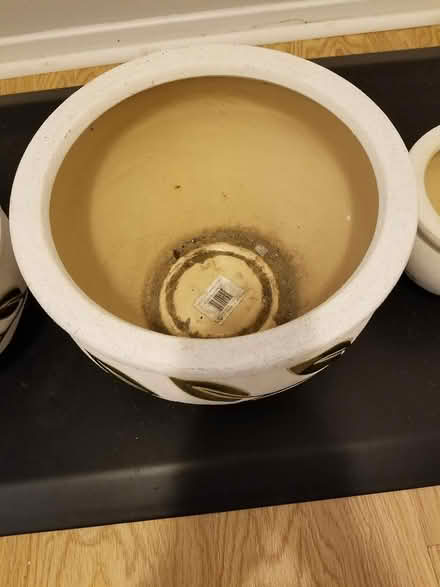 Photo of free Plant pots (Hunt Club) #3