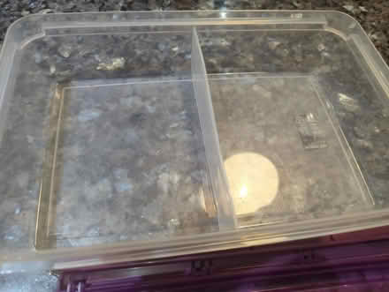 Photo of free Plastic box with lid. (Westgate LA3) #2