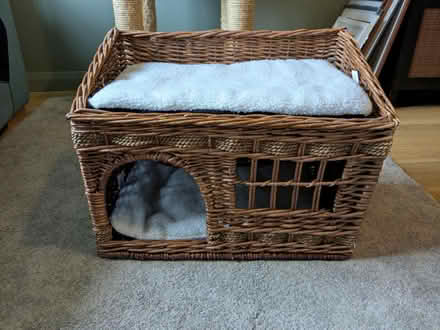 Photo of free Super cute cat basket (Bristol North / Stoke Gifford) #1