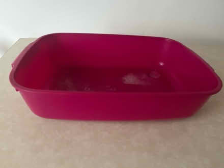 Photo of free Cat litter tray pink (CT11) #1