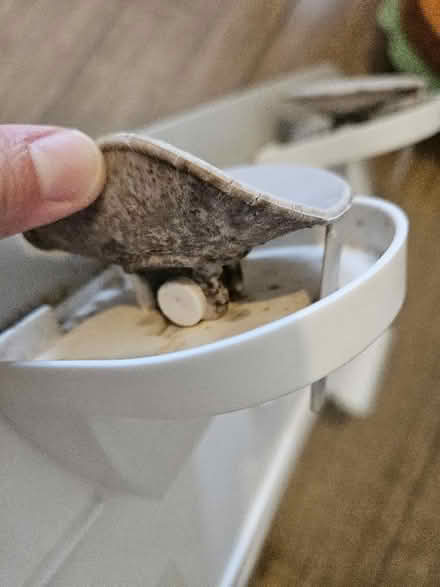 Photo of free Babydam bath barrier (Littlemore OX4) #3