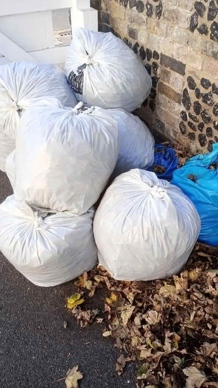 Photo of free Bags full of leaves (CT11) #1