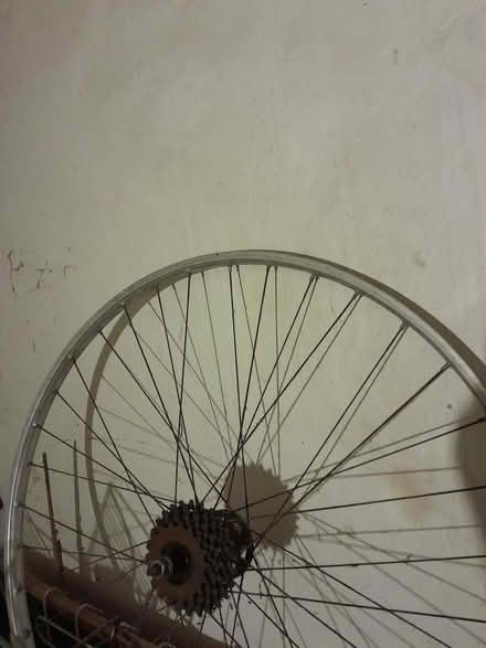 Photo of free Rear wheel of bike (The Camp AL1) #1