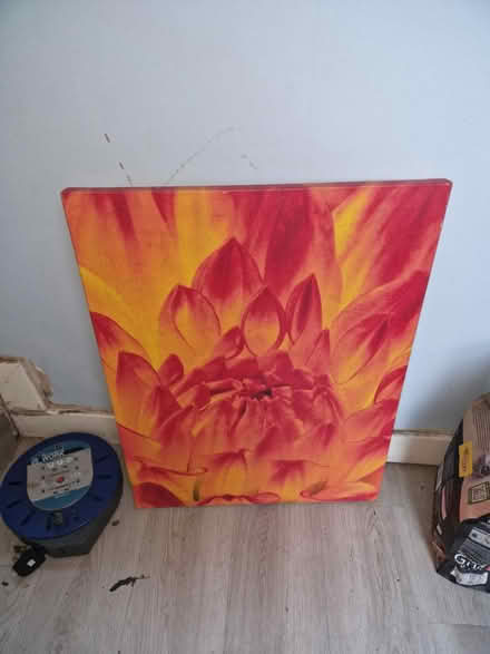 Photo of free Few items (BS39) #2