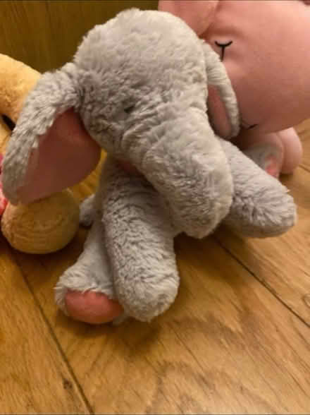 Photo of free Lovely soft toys (Cheshunt En8) #3