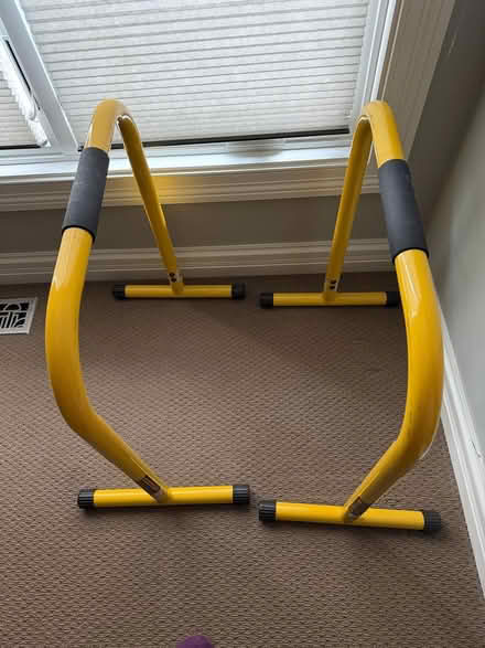 Photo of free Work out Equipment (glen Ellyn) #1