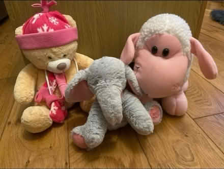 Photo of free Lovely soft toys (Cheshunt En8) #1