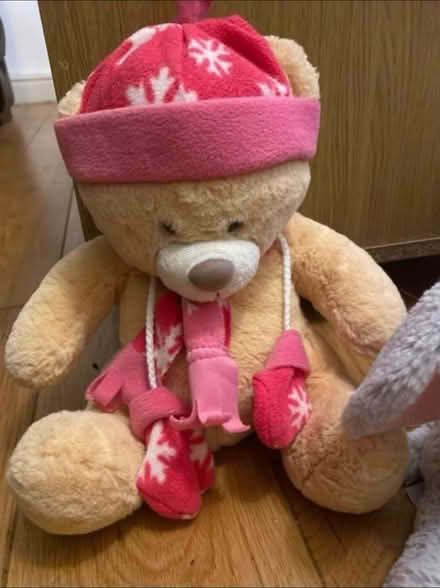 Photo of free Lovely soft toys (Cheshunt En8) #2