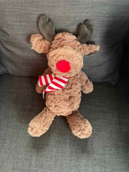 Photo of free Christmas teddy (Thringstone LE67) #1