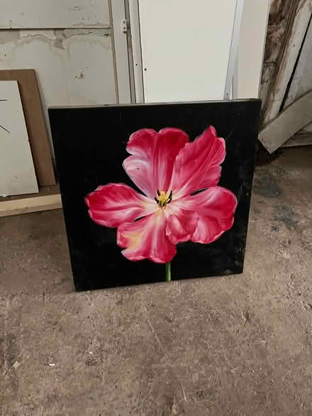 Photo of free Canvas of a flower (Bromsgrove B61) #1