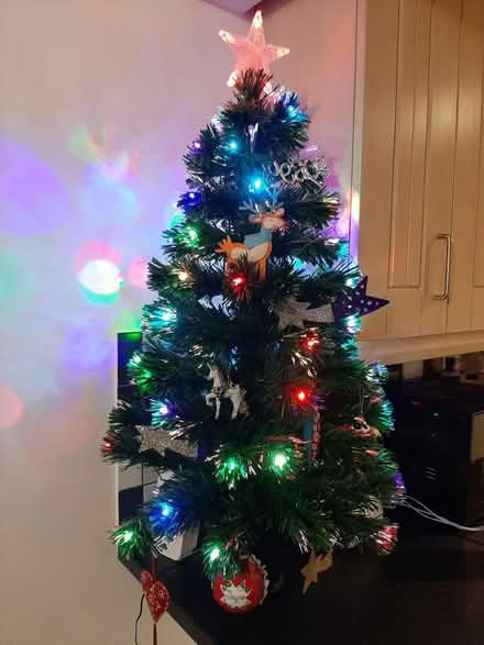 Photo of free 3ft fibre optic Christmas tree (Titchfield Common PO14) #1