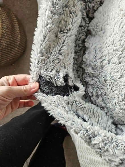 Photo of free Small dog/ cat bed (Littlemore OX4) #2