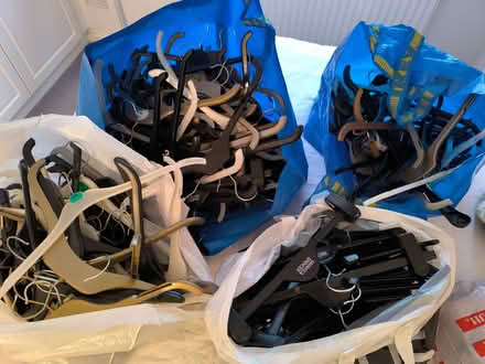 Photo of free Hundreds of hangers (The Camp AL1) #1