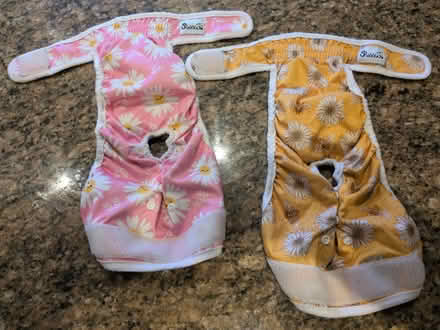 Photo of free Dog season nappies (RG4) #1