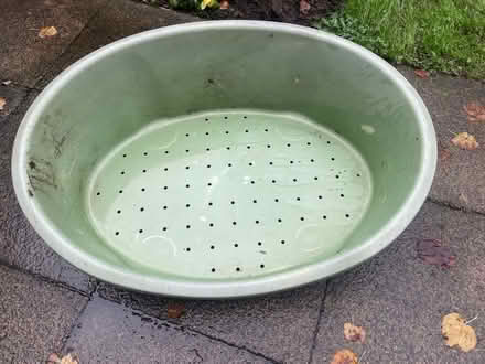 Photo of free Large plastic dog bed (Cholsey OX10) #1