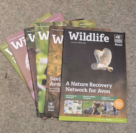 Photo of free Avon Wildlife Trust magazines (Downend BS16) #1