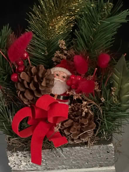 Photo of free Xmas Drcoration (Westbury Wilts BA13) #1