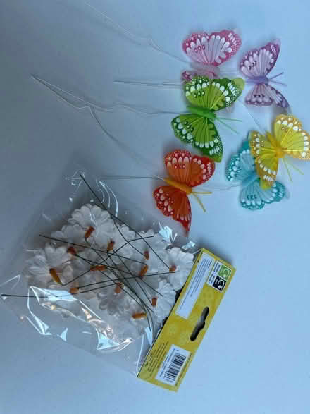 Photo of free Florist wired butterflies and daisies (Southport PR8) #2