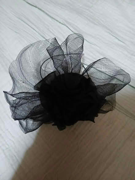 Photo of free Fasc9nator (Crewe, Rope) #1