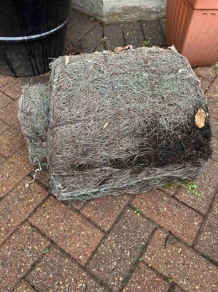 Photo of free Hedgehog house (Enfield EN1) #1