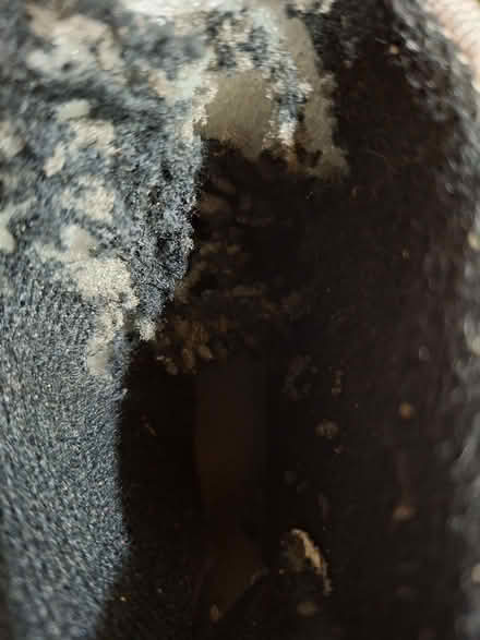 Photo of free Roller boots adult size 5 -7 (Sainsburys GL52) #2