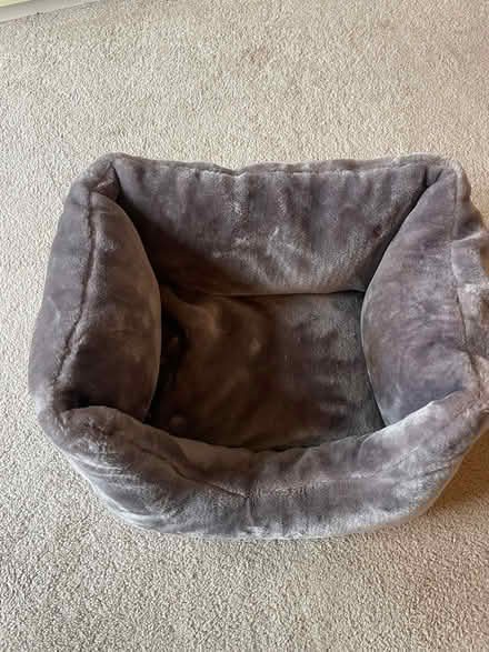 Photo of free Cat bed (Yarnton ox51nd) #1