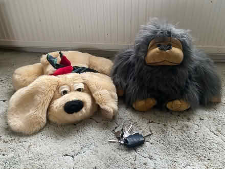 Photo of free Soft toys (Eastbourne BN21) #1