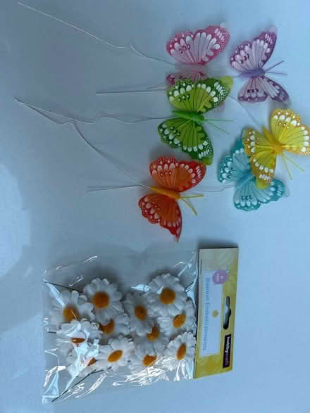 Photo of free Florist wired butterflies and daisies (Southport PR8) #1
