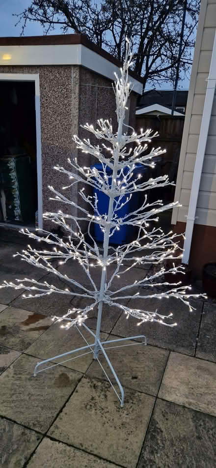 Photo of free Outdoor indoor Christmas tree. (Shelton Lock DE24) #1