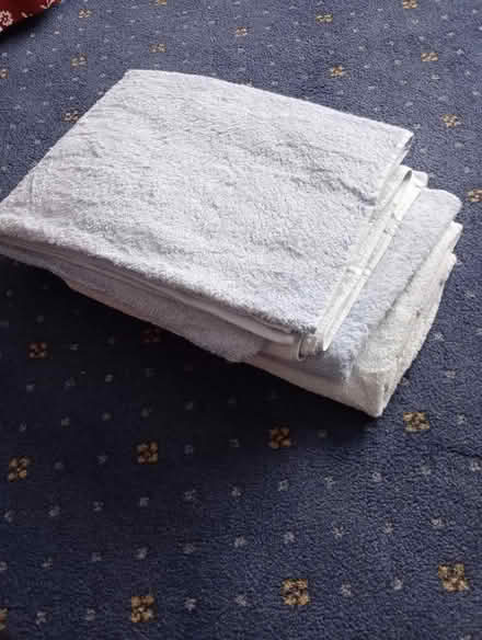 Photo of free Bath sheets (Moulsham Lodge CM2) #1