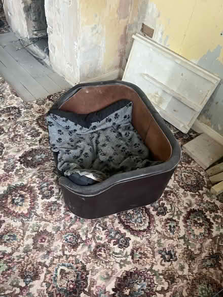 Photo of free Dog Bed (Penrith CA11) #2