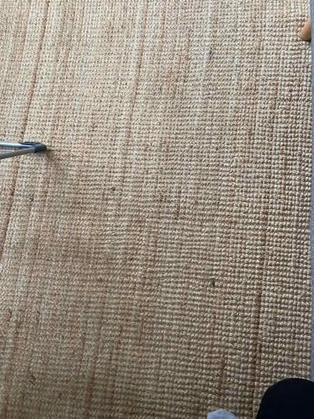 Photo of free Woven area rug (Newington Green N5) #1