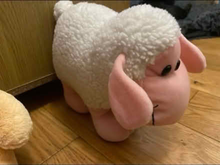 Photo of free Lovely soft toys (Cheshunt En8) #4