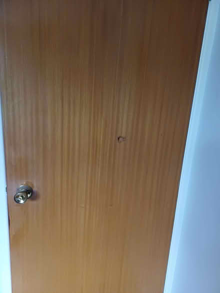 Photo of free Internal doors (BT8) #2