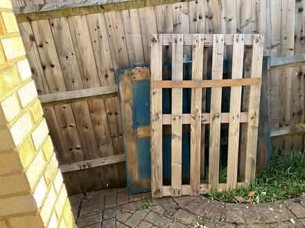 Photo of free 2 Wooden Pallets (Wokingham RG41) #1