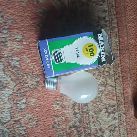 Photo of free 2 screw cap light bulbs (Abbots Langley WD5) #1