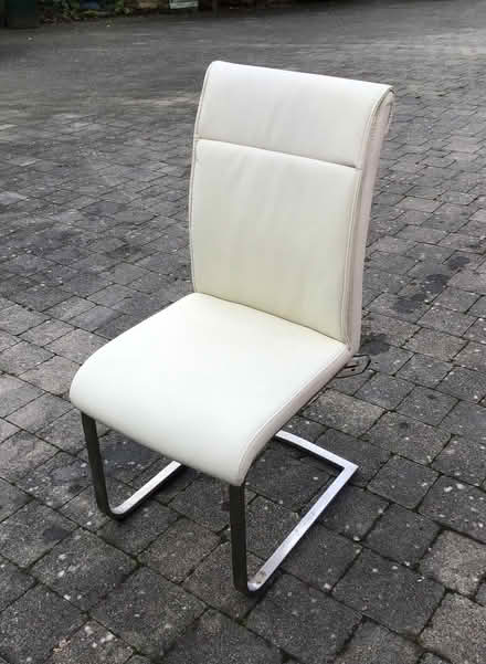 Photo of free Single White Dining Chair (Newby CA10) #3