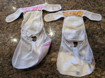 Photo of free Dog season nappies (RG4) #3