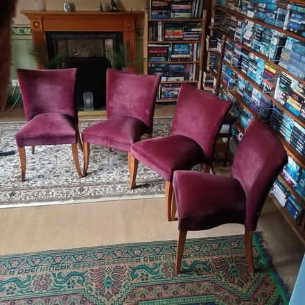 Photo of free 4 chairs (Shalford, GU4) #1
