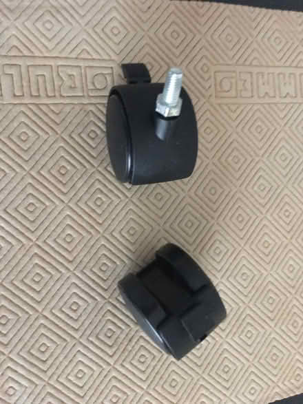 Photo of free 2 Castors (Dore S17) #1