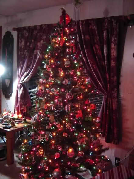 Photo of free 6-6.5ft christmas tree (broomfield 120th + Perry st.) #2