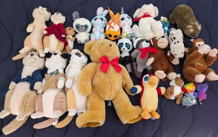 Photo of free Soft toy bundle kids teddies (Stagden Cross CM3) #1